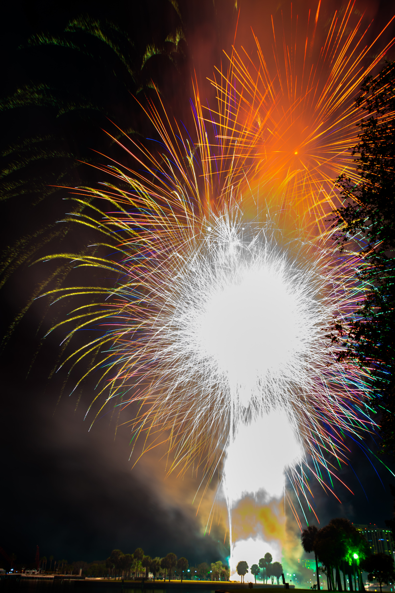 Illustration for article titled Happy New Year!